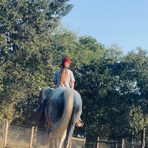 Meet your Posher, Ella